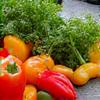 Healthy ingredients and cooking utensils on a countertop